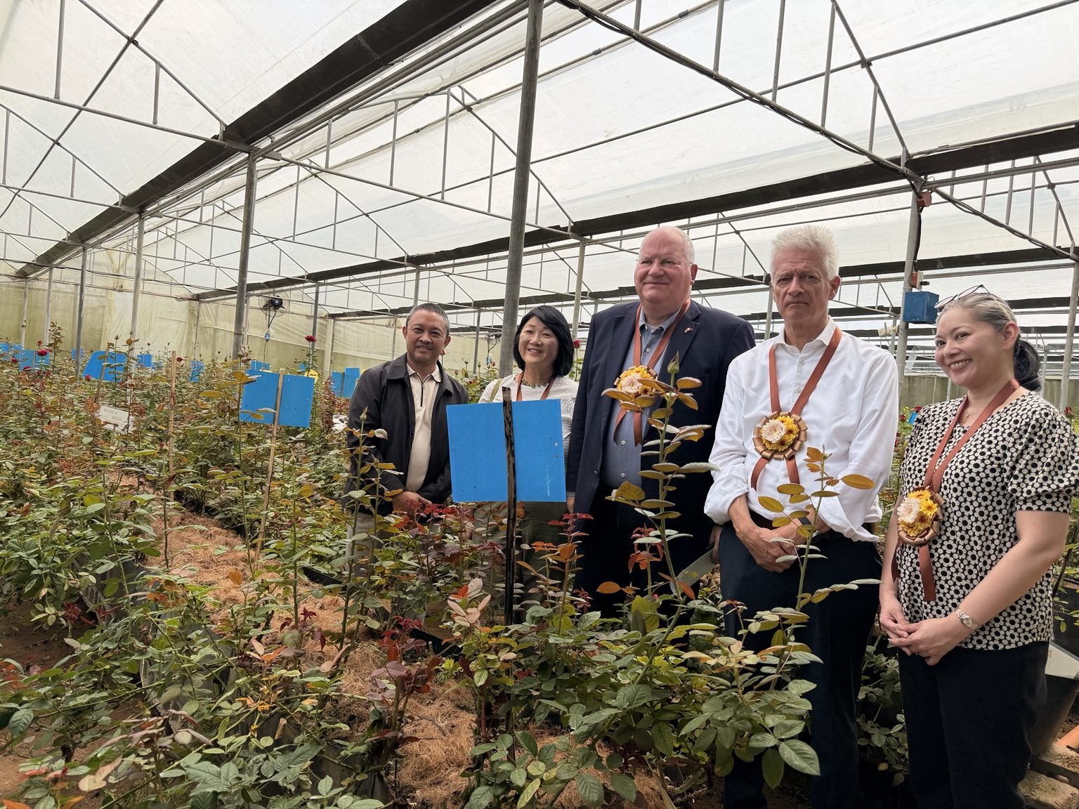 Ambassador Wols and guests in the EMV rose greenhouse
