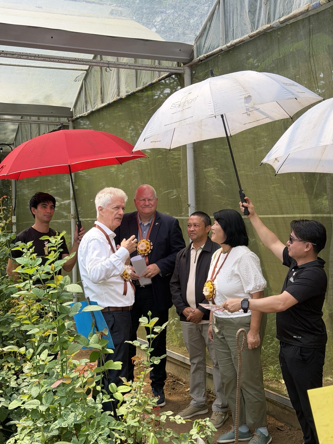 Guests talking among flowers during the farm visit
