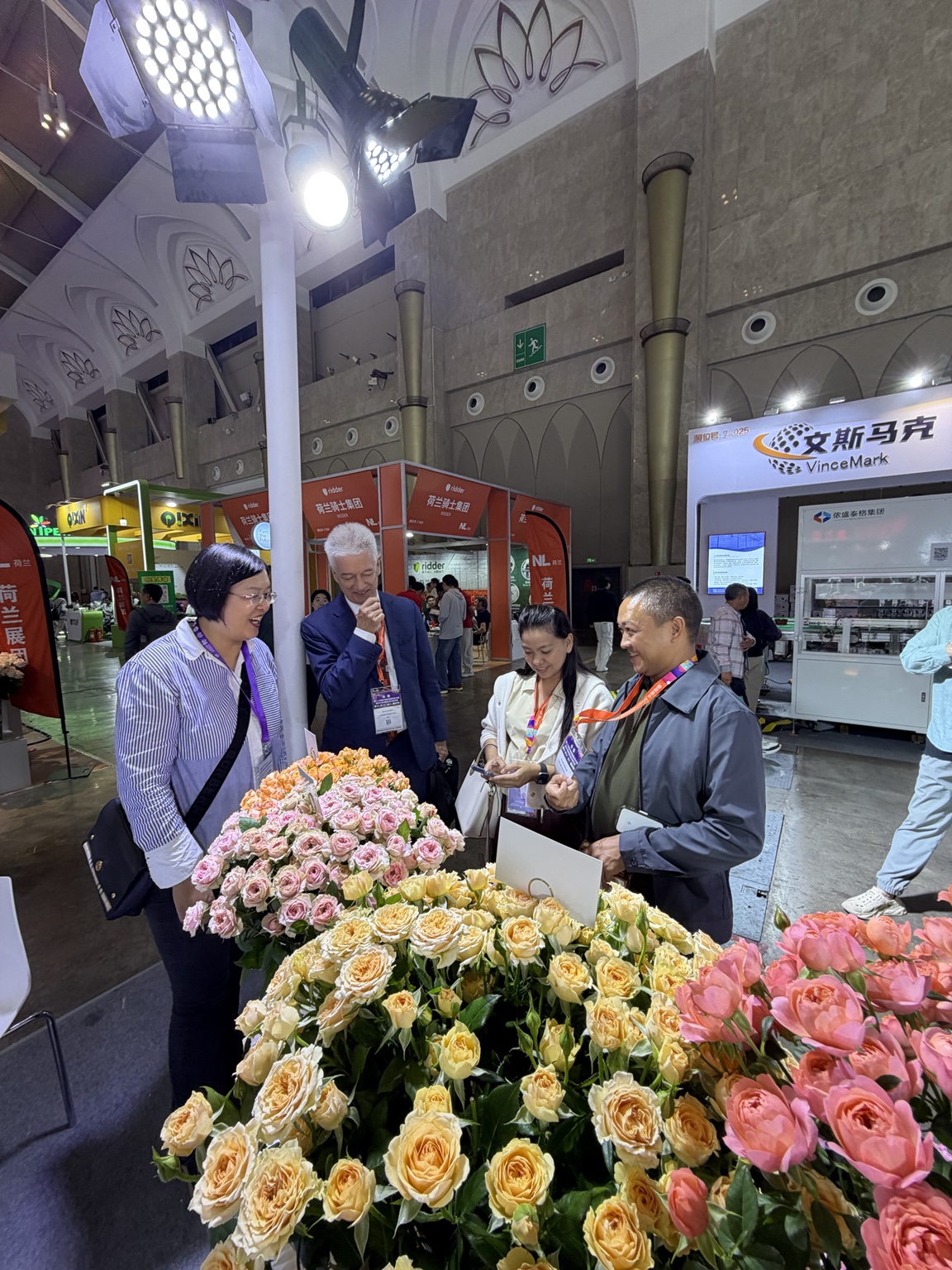 Flower professionals looking at rose displays together