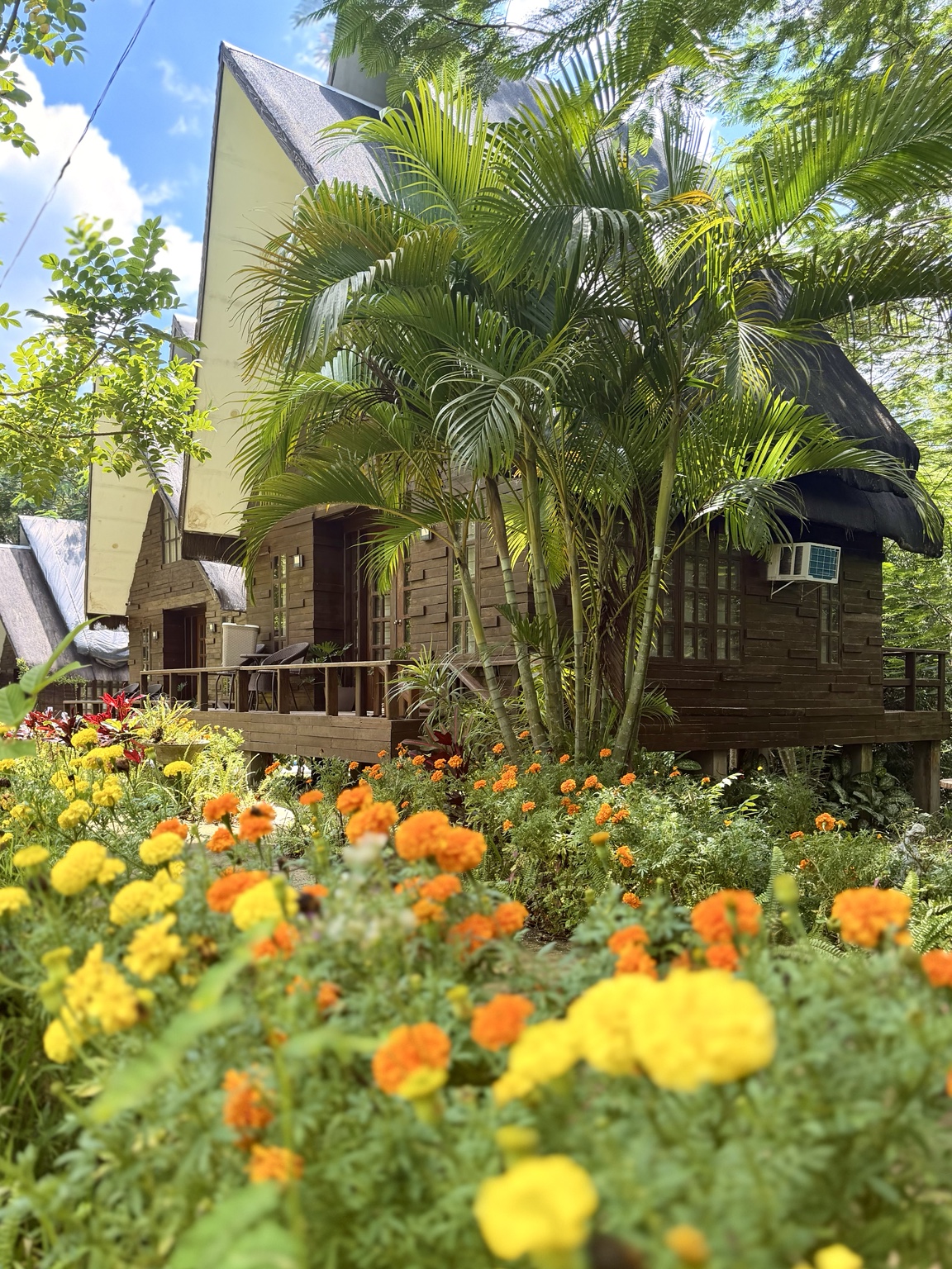 Wooden A-frame villa surrounded by palms and flowers