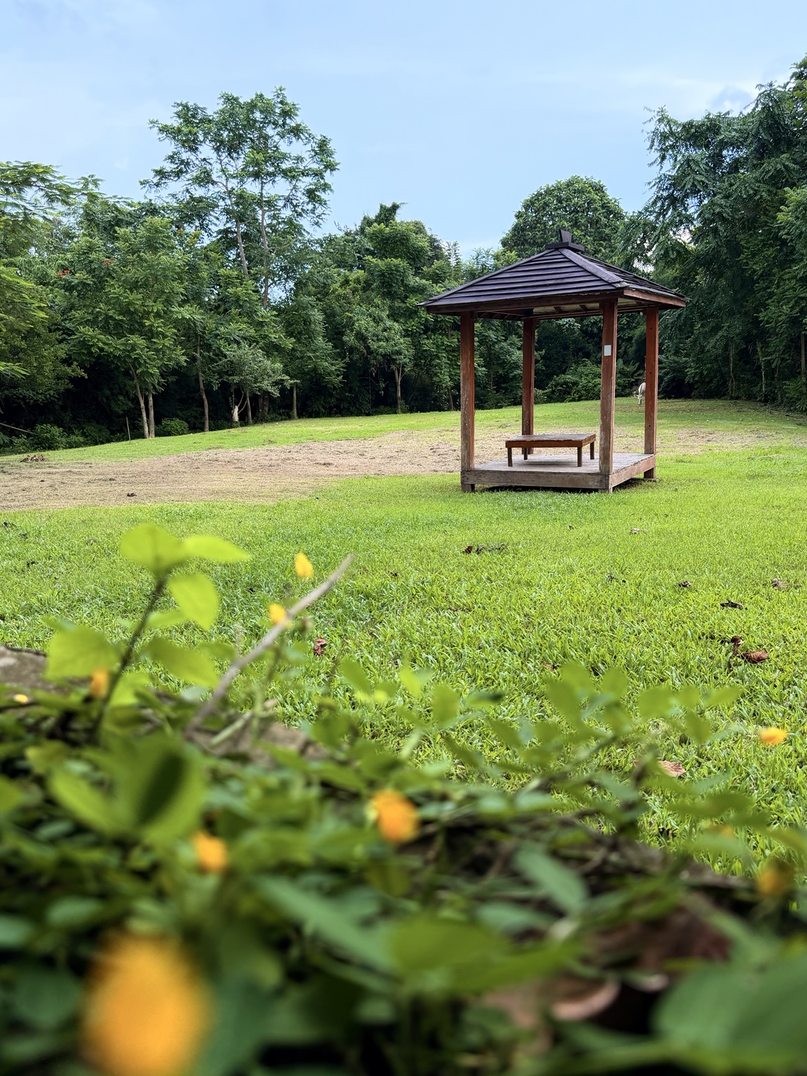 Small wooden pavilion on an open green lawn