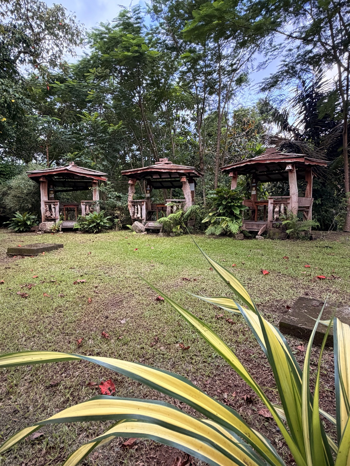Three rustic garden gazebos beneath trees